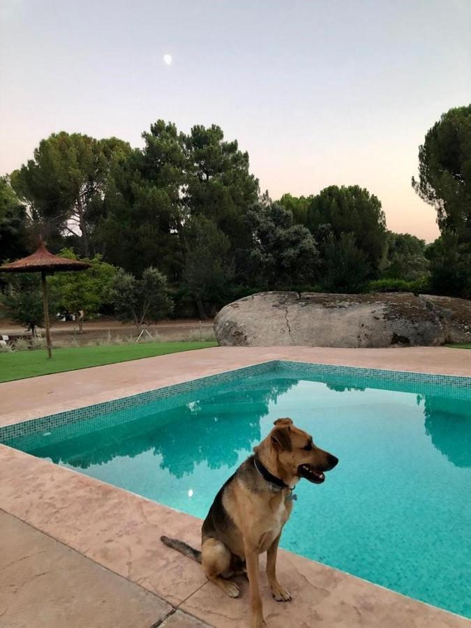 Casa Valdesanmartin - Country House, 10500Sqm, Pool, Paddel & Bbq El Tiemblo Exterior foto