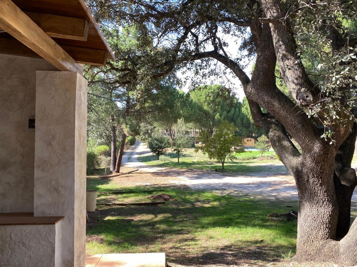 Casa Valdesanmartin - Country House, 10500Sqm, Pool, Paddel & Bbq El Tiemblo Exterior foto