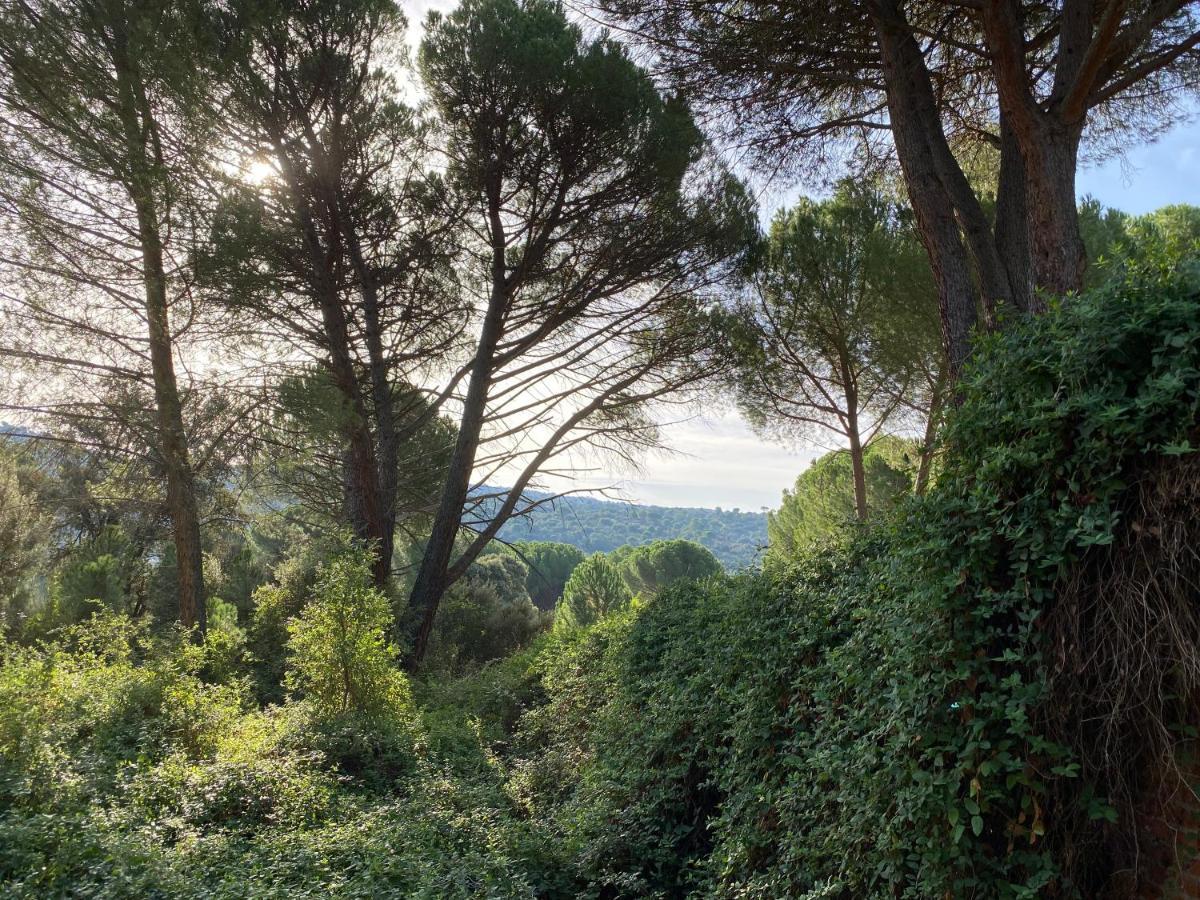 Casa Valdesanmartin - Country House, 10500Sqm, Pool, Paddel & Bbq El Tiemblo Exterior foto