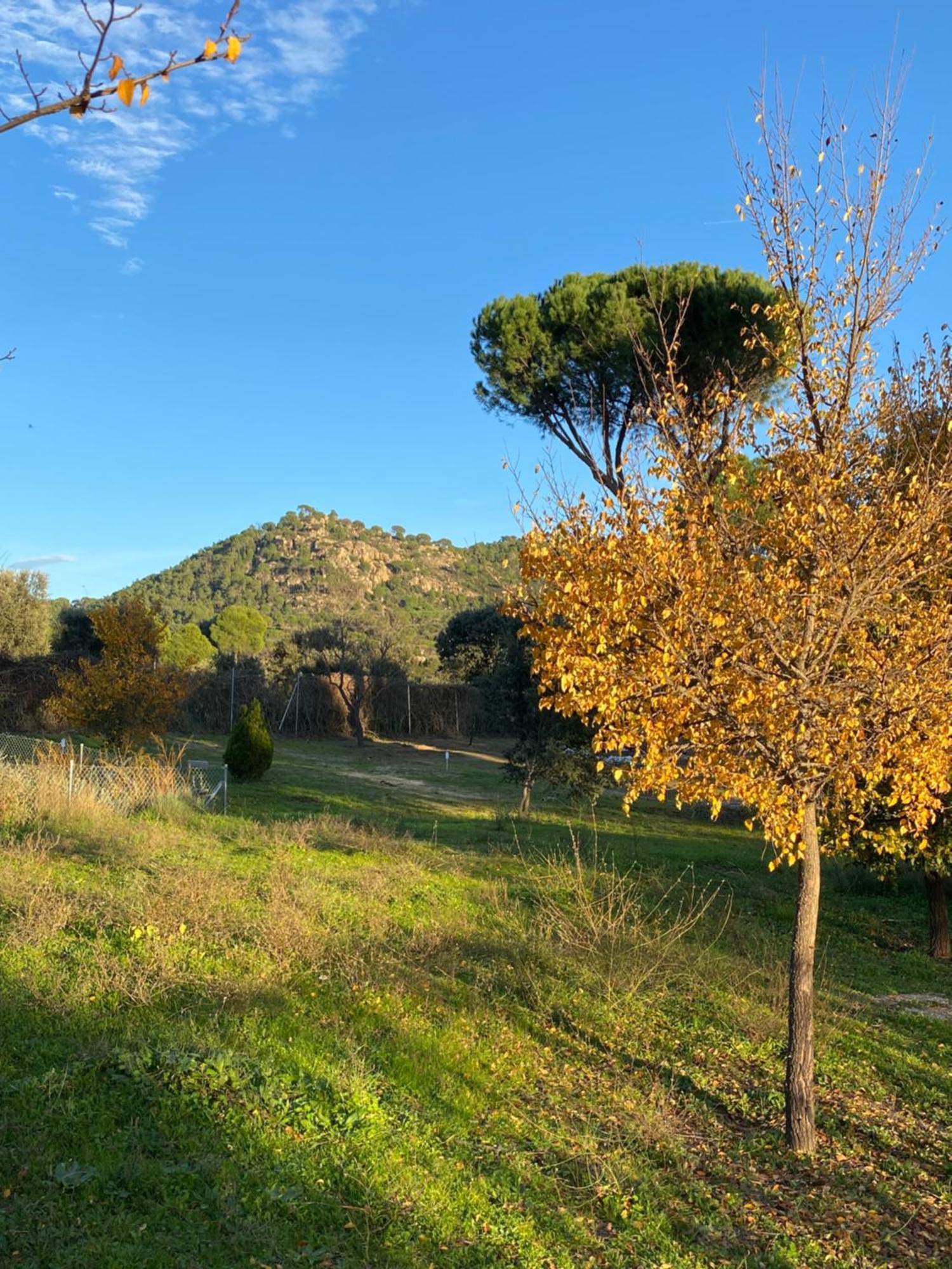 Casa Valdesanmartin - Country House, 10500Sqm, Pool, Paddel & Bbq El Tiemblo Exterior foto